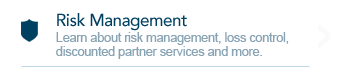 Risk Management Consulting & Services