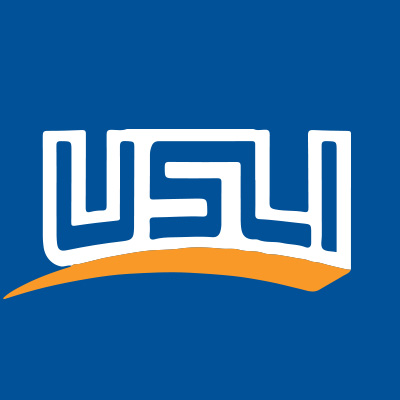 USLI Insurance Services